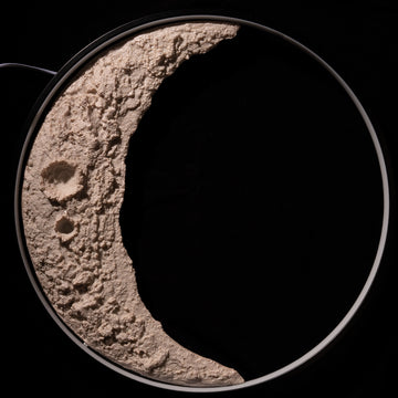 LED Crescent Moon Wall Lamp