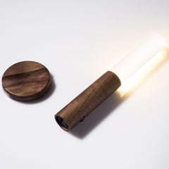 Motion Sensor Night Light Magnetic Wall Light