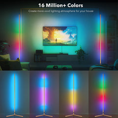RGB Golden Corner Floor Lamp