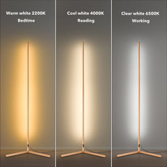 Corner Floor Lamp with  warm white light