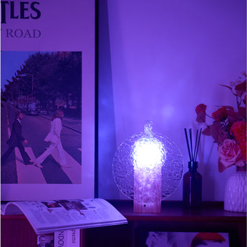 Rotating Crystal Table Lamp