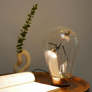 Adjustable lampshade
