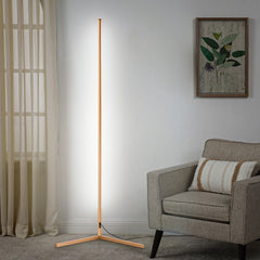 Golden Corner Floor Lamp with white light