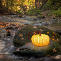 Pumpkin Lantern Halloween Decorations